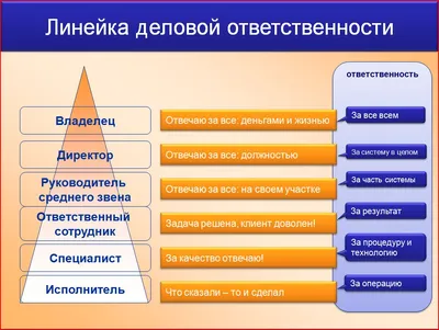 Когда возможна коллективная материальная ответственность | NORMA.UZ