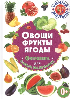 Найди тень Овощи, Фрукты, Ягоды - карточки Монтессори купить и скачать