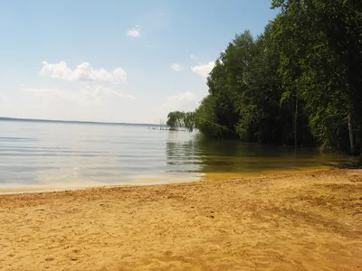 Вода цветет и пахнет: озеро Тургояк в Челябинской области покрылось зеленой  пленкой