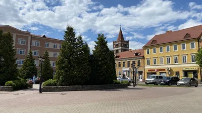 В Нестеровском районе «БМВ» врезался в дерево (фото) - Новости Калининграда  - Новый Калининград.Ru