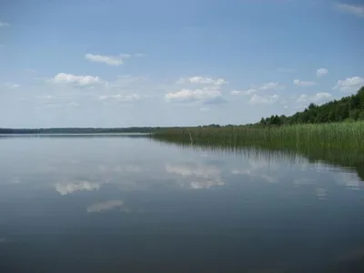 Глубокое (озеро, Смоленская область) — Википедия