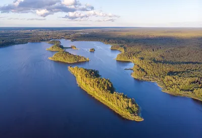 Купить Квартиру в посёлке городского типа Озёрный (Смоленская область) - 8  объявлений о Продаже Квартир Недорого: Планировки, Цены и Фото – Домклик