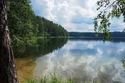 Церковь Рождества Пресвятой Богородицы, Озёрный (Горки) (Духовщинский  район), фотография.