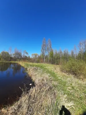 Отдых в Тверской области на берегу Волги | Озера для отдыха в Тверской  области — Яндекс Путешествия