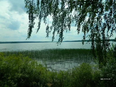 В Калининградской области после очистки реки откроют новый водный маршрут —  РБК