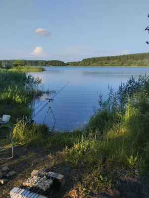 Пережить лето. Чем опасно купание в смоленских водоёмах | ОБЩЕСТВО | АиФ  Смоленск