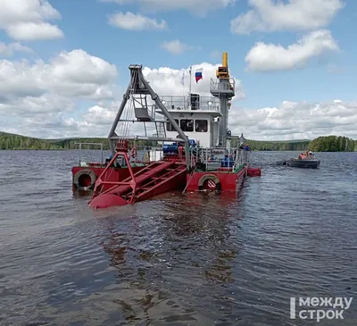 В Самарской области нашли способ биологической очистки водоемов - Recycle