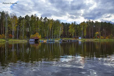 Щучье озеро Комарово (51 фото) - 51 фото