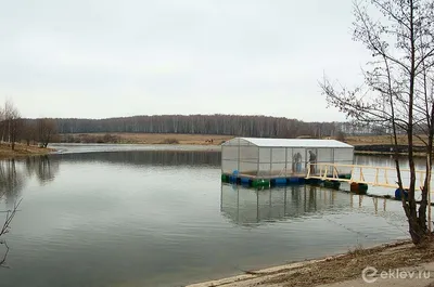 Рыболовный клуб \"Фишка-Данилово\" - платный водоем