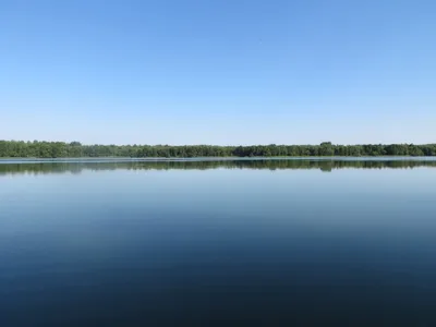 Рыболовный клуб \"Фишка-Данилово\" - платный водоем