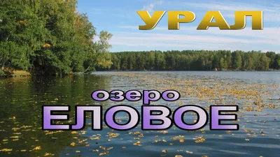 Озеро Еловое, Чебаркуль Челябинская область - «Озеро Еловое, Челябинская  область. (Фото внутри)» | отзывы