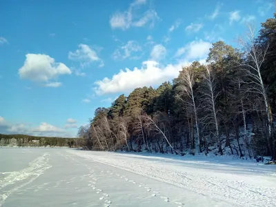 Озеро Еловое🌲Аренда квартиры (@elovoe_kvartira) • Instagram photos and  videos