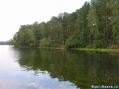 Озеро ЕЛОВОЕ (Челябинская область), базы отдыха, санатории