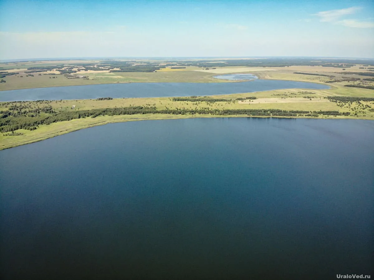 Сосновая роща звериноголовское. Озеро Сосновая роща Курганская область. Озеро горькое Звериноголовское. Озеро горькое Сосновая роща Курганская область.