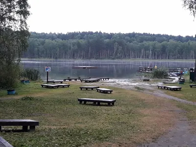 Озеро Линево в Омской области. Базы отдыха, фото, видео, где находится, как  добраться – Туристер.Ру