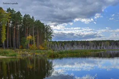 Озеро Ленёво (Линёво) Муромцевский район, Омская область | Tatiana Legenda  | Дзен