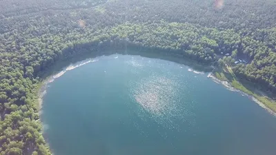 В Омской области гниет целебное озеро - МК Омск