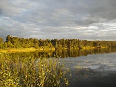 Россия. Озеро Ленево (Омская область) - «Отдых на озере Ленево (2020) в  зоне экопространства\"Серебряный берег\". » | отзывы