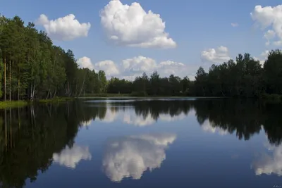 Самые рыбные места Омской области