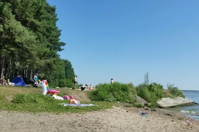 В Тюменской области в девяти водоемах можно купаться и загорать без вреда  для здоровья - Тюменская линия