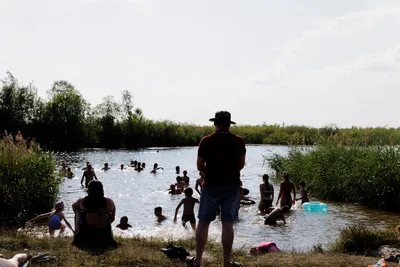 Тюменские предприниматели разругались из-за бани и базы отдыха для моржей —  URA.RU