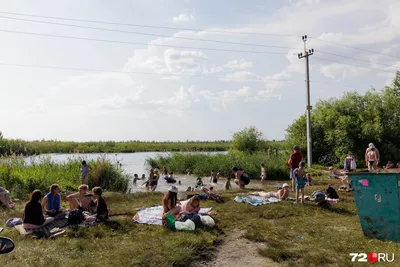 Полный бардак»: пляж озера Липовое весь усеян тюменцами | 18.07.2020 |  Тюмень - БезФормата