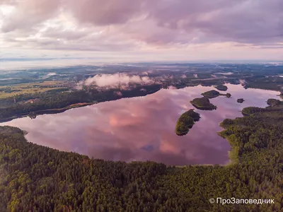 Озеро Сапшо, Смоленская область. Отдых, рыбалка, снять домик, фото, карта,  отзывы, как добраться — Туристер.Ру