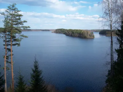 Озеро Сапшо, Смоленская область. Отдых, рыбалка, снять домик, фото, карта,  отзывы, как добраться — Туристер.Ру