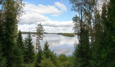 Озеро сапшо Смоленской области фото фотографии