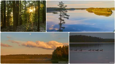 Озеро Сапшо, Смоленская область. Отдых, рыбалка, снять домик, фото, карта,  отзывы, как добраться — Туристер.Ру