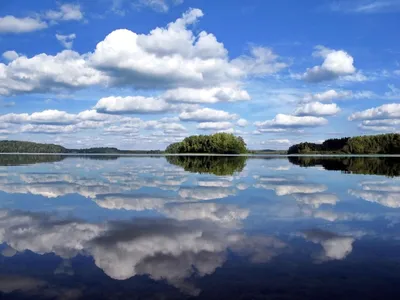 Озеро Сапшо, Смоленская область. Отдых, рыбалка, снять домик, фото, карта,  отзывы, как добраться — Туристер.Ру