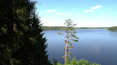 Отчет о рыбалке: Водоём озеро Сапшо — Заборьевское сельское поселение —  Центральный федеральный округ, Смоленская область — № 40916 —  fishing-report.ru