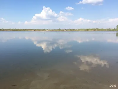 старица - вести с водоемов. Рыбалка, прогноз клёва, погода