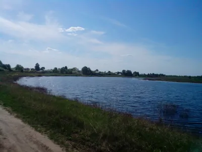 старица - вести с водоемов. Рыбалка, прогноз клёва, погода