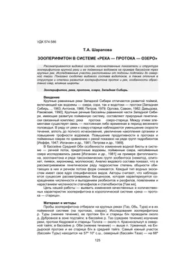 Места купания в Новосибирске, где на машине можно проехать прямо до воды (а  какие секретные пляжи знаете вы?)