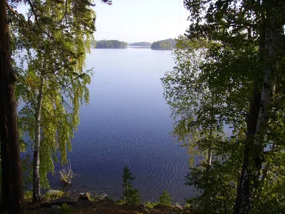 File:Uvildhi lake (Chelyabinsk Oblast).JPG - Wikimedia Commons