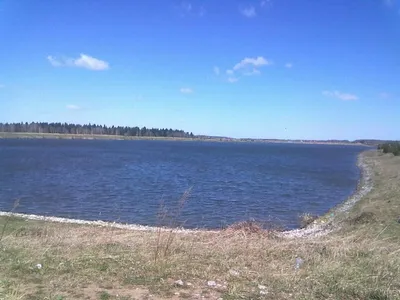 Озеро в березкино Томск фото фотографии
