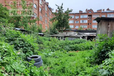 Домклик — поиск, проверка и безопасная сделка с недвижимостью в Томске