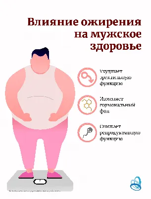 Ожирение и инсульт - StrokePrevention.info