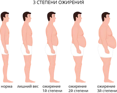Ожирение ч. 1: причины и степени ожирения