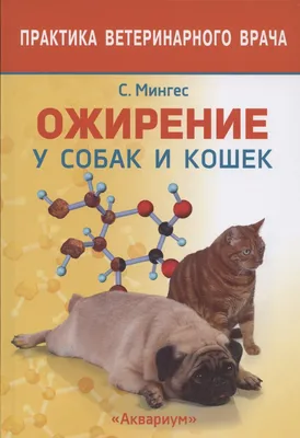 Ожирение у собак: причины, симптомы, лечение - ветклиника \"в Добрые Руки\"