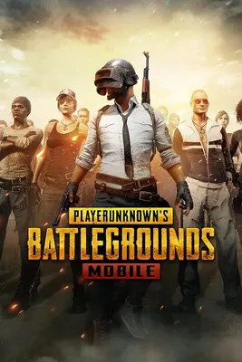 PUBG Mobile — гайды, новости, статьи, обзоры, трейлеры, секреты PUBG Mobile  | VK Play