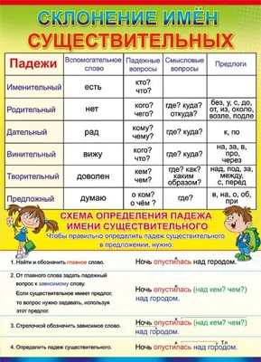 Плакат обучающий \"Падежи\", формат А2+ - купить с доставкой по выгодным  ценам в интернет-магазине OZON (828894418)