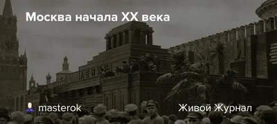 Новости Днепра: Пальмы в Днепре история