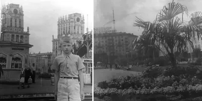 Пальмы в москве старые фото фотографии