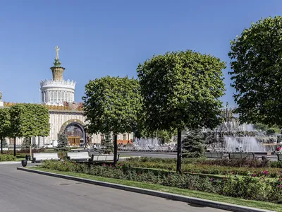 Фотообои В листьях пальм купить на Стену — Цены и 3D Фото интерьеров в  Каталоге интернет магазина allstick.ru