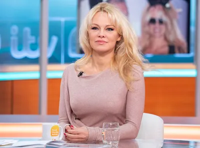 Pamela Anderson, 56, Goes Make-up Free on Red Carpet in Glowing Pics