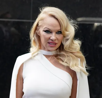 Activism is sexy': How Pamela Anderson weaponised the 'dumb blonde' as a  force for good | The Independent