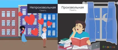 Как развить профессиональную память? - Блог Викиум