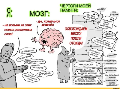 Memento memory. Как улучшить память, концентрацию и продуктивность мозга,  Елена Сосновцева – скачать книгу fb2, epub, pdf на ЛитРес